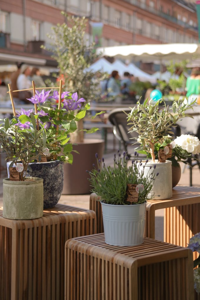 Un Jardin dans ma Ville - Édition 2025 photo 8